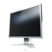 EIZO FlexScan S2133-GY - LED monitor - 21.3